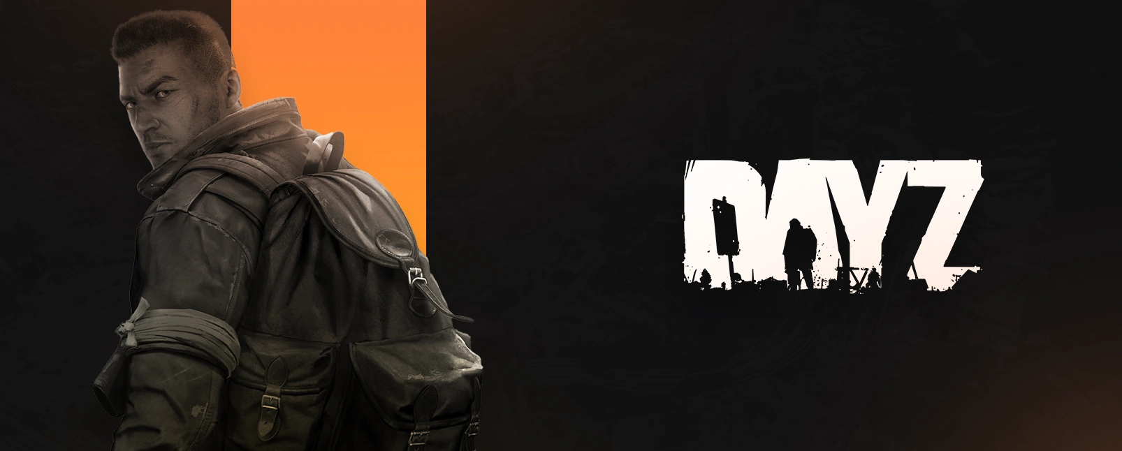 DayZ